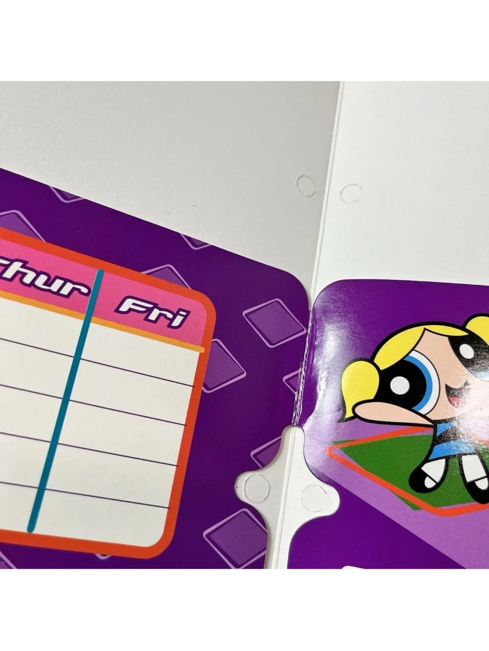 Vintage 2003 Y2K Power Puff Girls School Folder